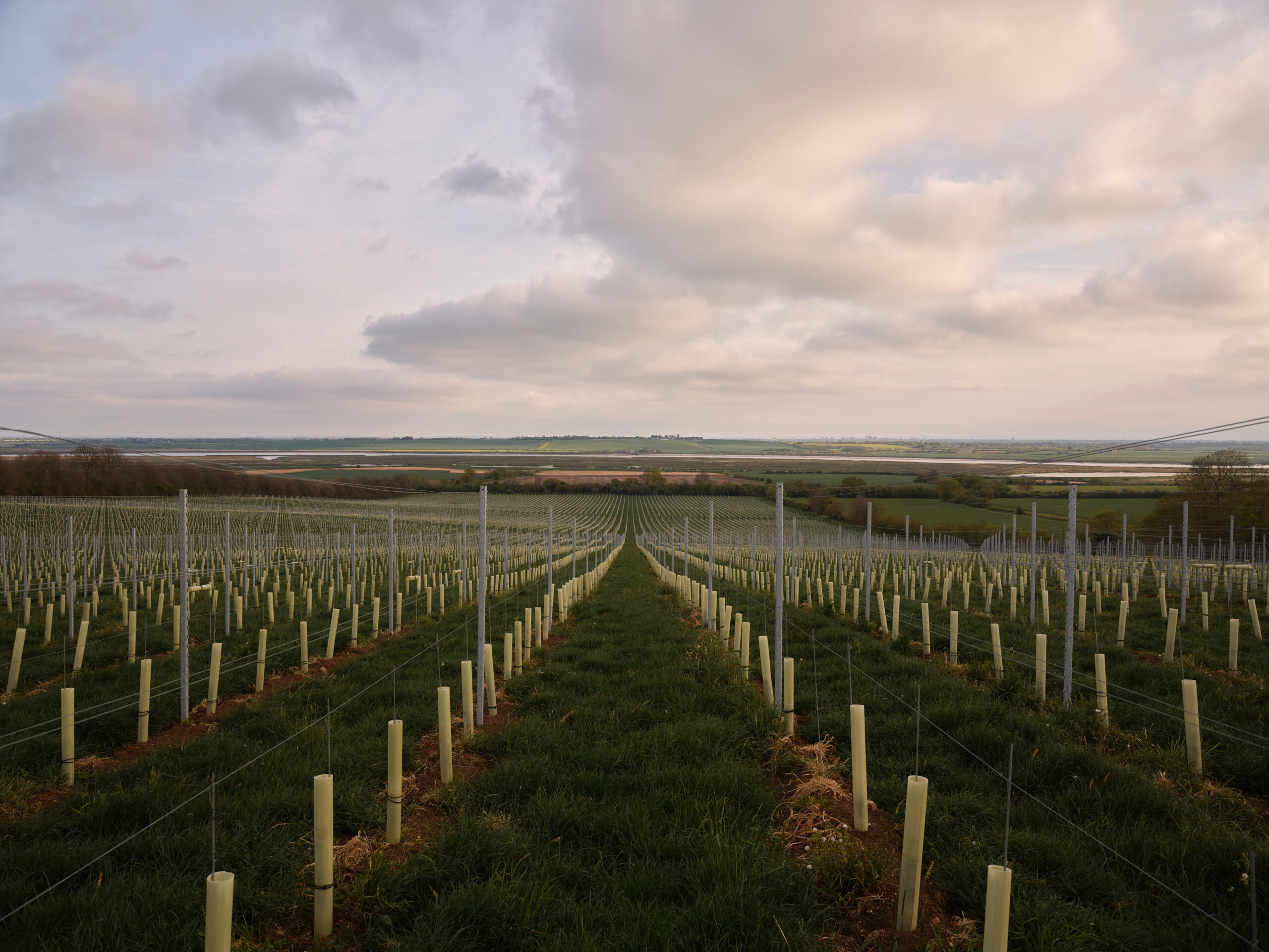 10131684a8ca3cfe0c5873b7bf42bf8f8c975710