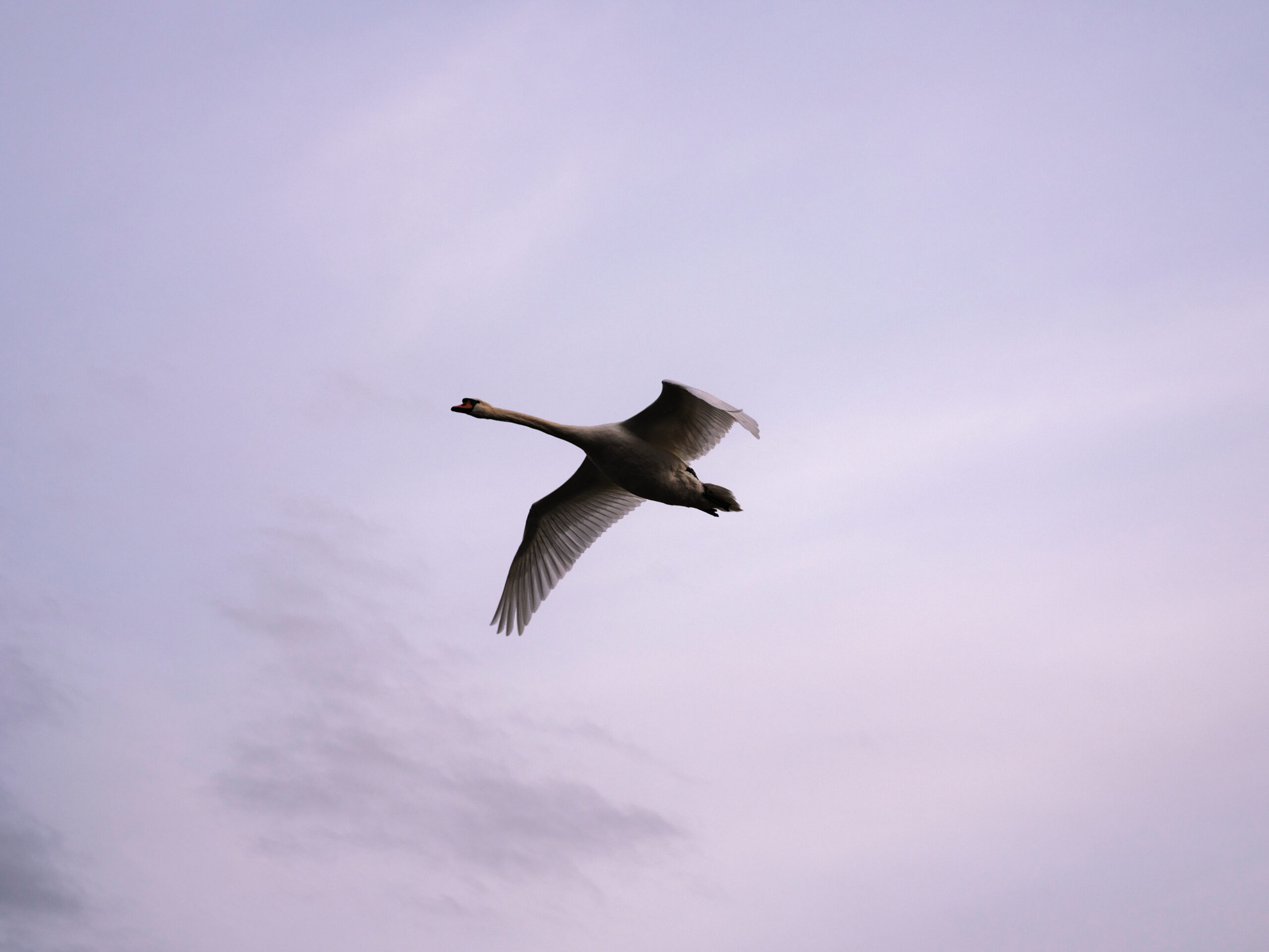 729bca535ec690a6883959d584df7f13c6c13cab