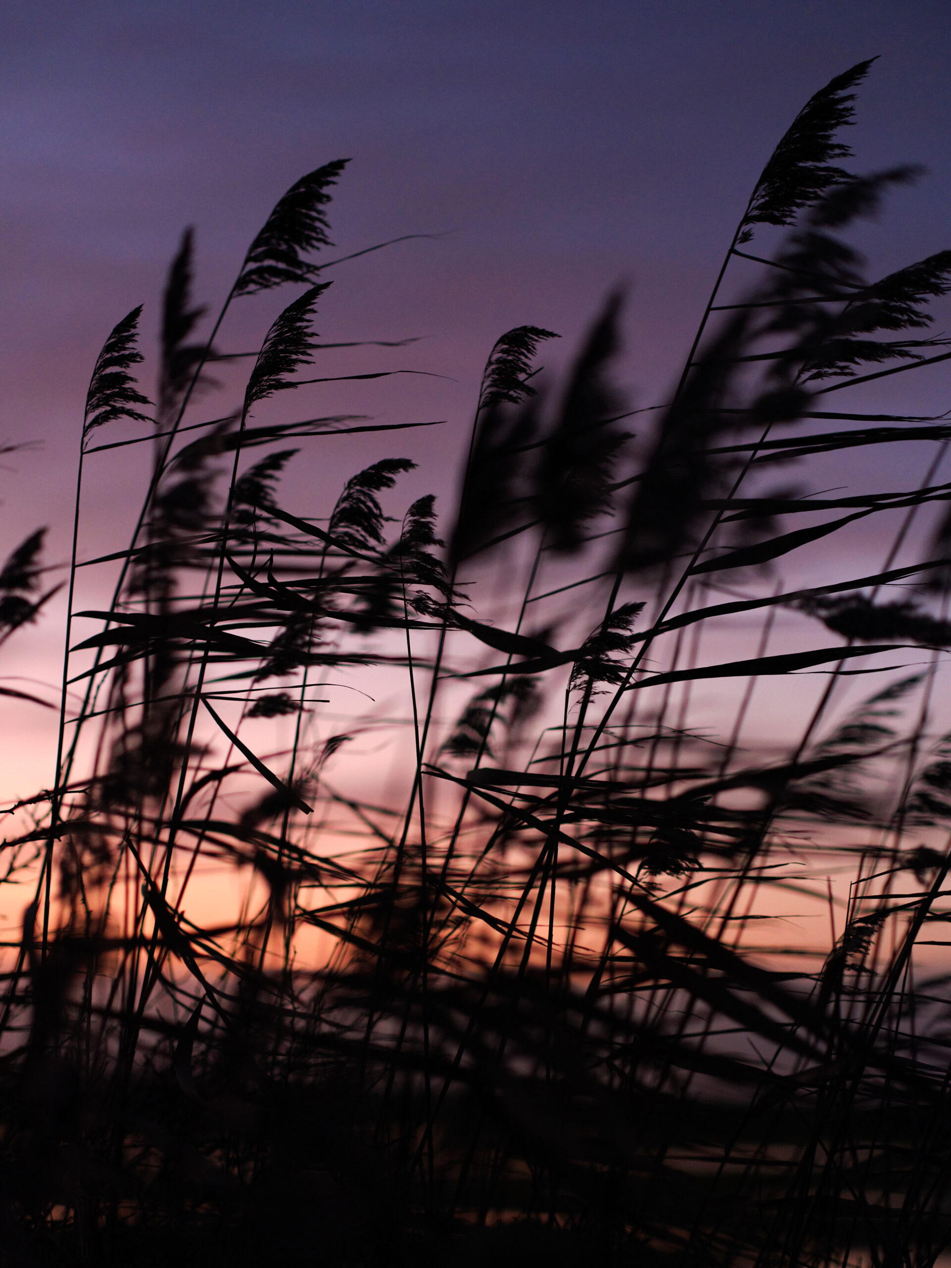 8a4ef16ae58c34610f4477280085484724d1b34a