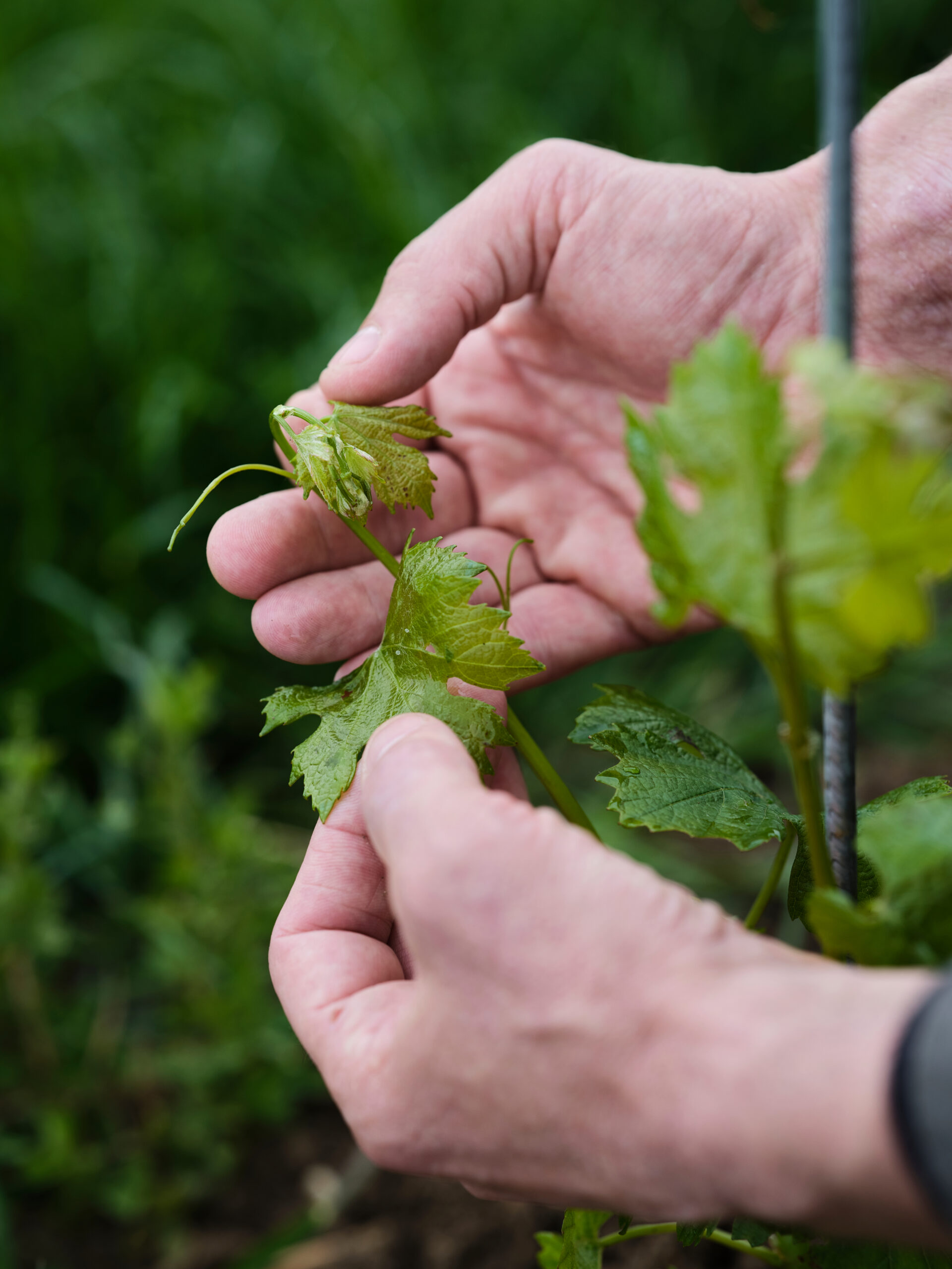 f119bc40eb153bd55064f327d65a90f4c176ab86