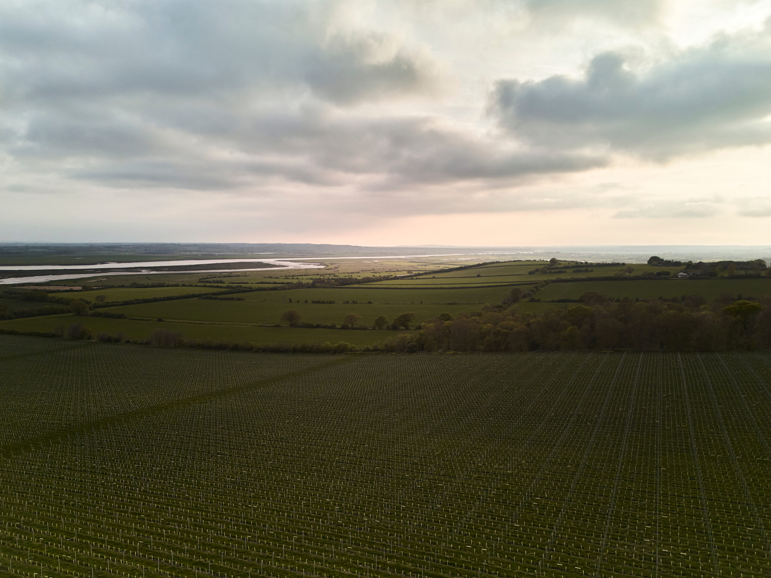 75c5f2f6700cb1ee6169bb5d07fbdee6b0aff7f0